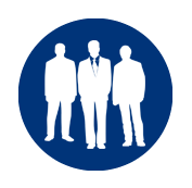 Professional team